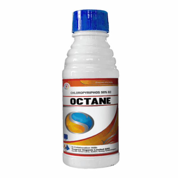 Octane Insecticide | Chlorpyrifos 50% EC | Trugrow