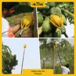 Hectare Papaya Harvester (Without Pole) – Premium Fruit Harvesters - Image 3