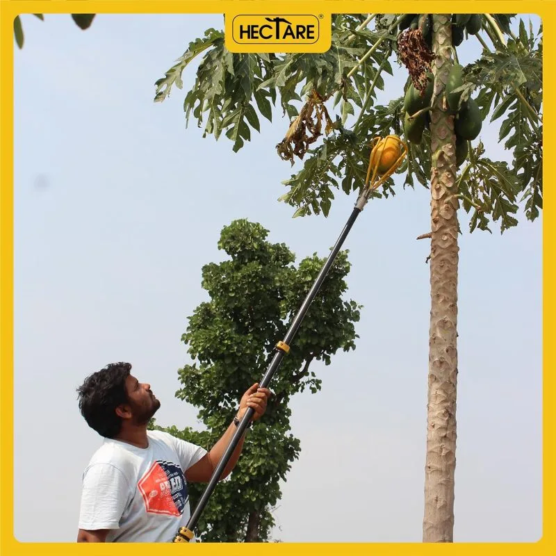 Hectare Papaya Harvester (Without Pole) – Premium Fruit Harvesters - Image 4