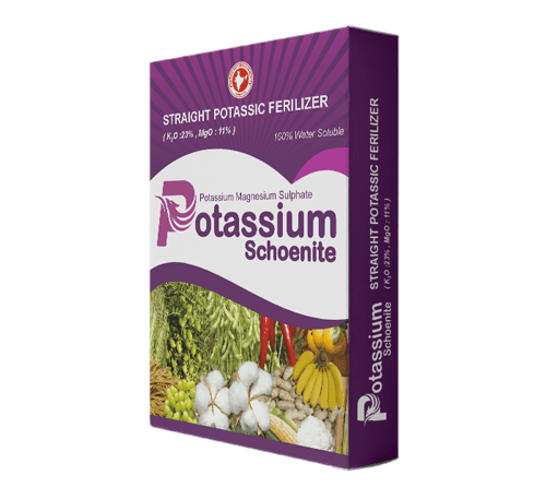 Potassium Schoenite Potassium Magnesium Sulphate Fertilizer