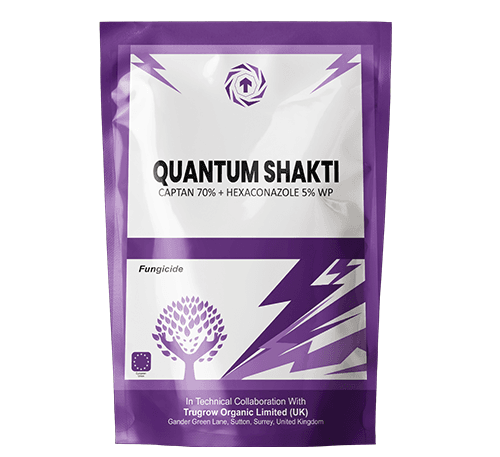 Quantum Shakti Captan 70% + Hexaconazole 5% WP Fungicide