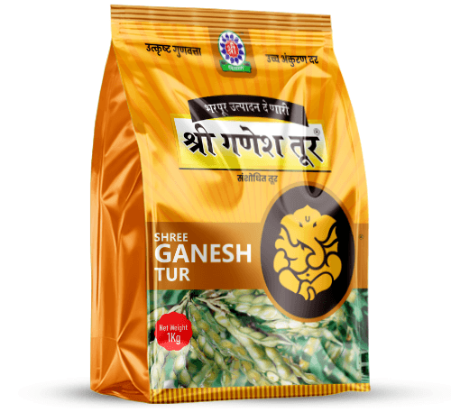 Shree Ganesh Toor Seeds – Pigeon Pea