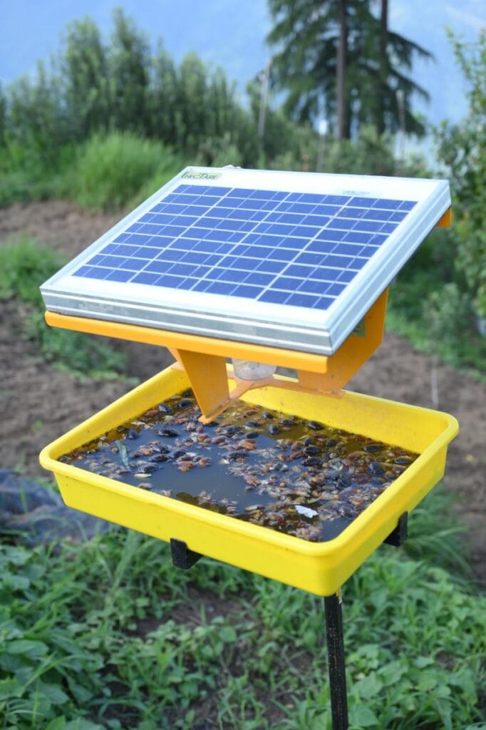 00-00-50 fertilizer potassium sulphate SOP National Pesticidesx