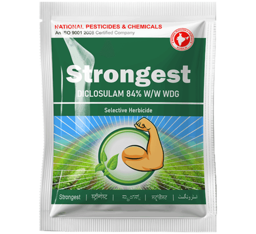 Strongest Diclosulam 84% WDG Herbicide