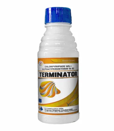 Terminator Chlorpyrifos 16% + Alphacypermethrin 1% EC Insecticide