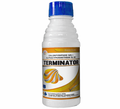Terminator Chlorpyrifos 16% + Alphacypermethrin 1% EC Insecticide