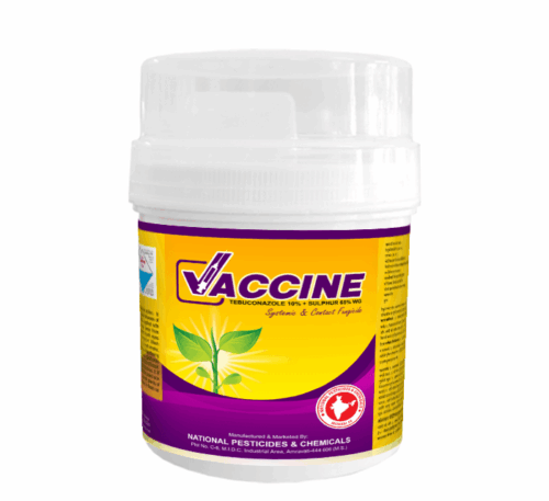 Vaccine Fungicide – Tebuconazole 10% + Sulphur 65% WG for crops
