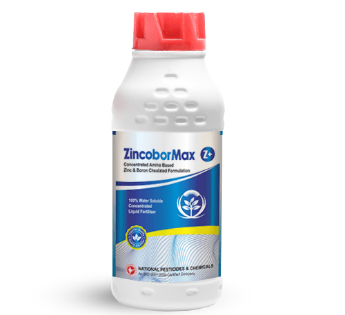 Amino-based liquid fertilizer with zinc and boron for crops