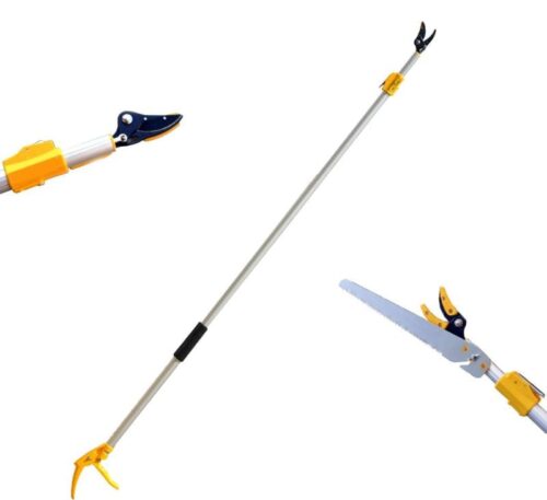 Hectare telescopic fruit picker pruner saw