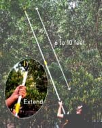 Hectare Telescopic cut and hold fruit picker, pruner and saw – Premium Fruit Harvesters - Image 2