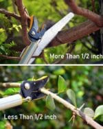 Hectare Telescopic cut and hold fruit picker, pruner and saw – Premium Fruit Harvesters - Image 3