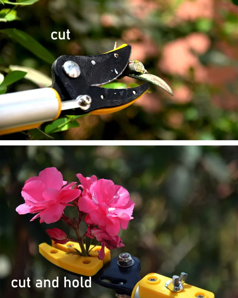 Hectare telescopic fruit picker pruner saw premium