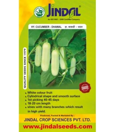 Jindal Dhawal cucumber hybrid seeds pack