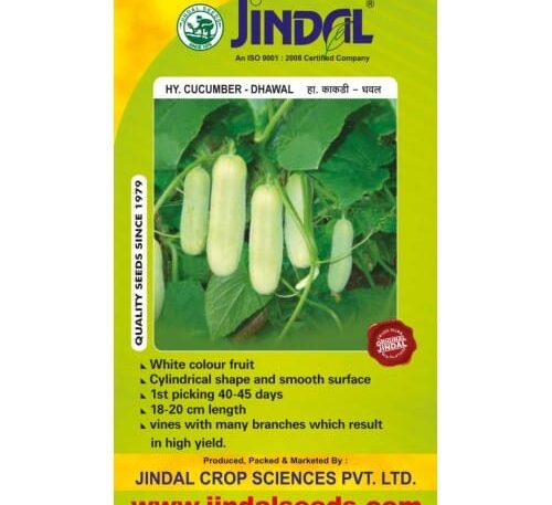 Jindal Dhawal cucumber hybrid seeds pack