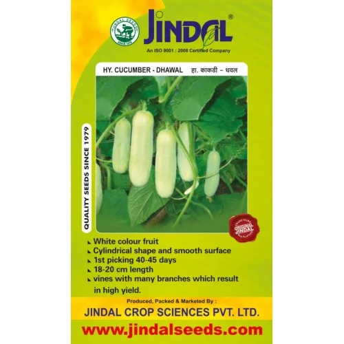 Jindal Dhawal cucumber hybrid seeds pack