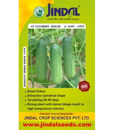 Jindal Shalini cucumber hybrid seeds pack