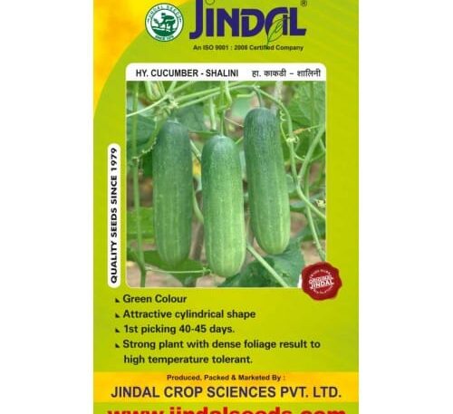 Jindal Shalini cucumber hybrid seeds pack