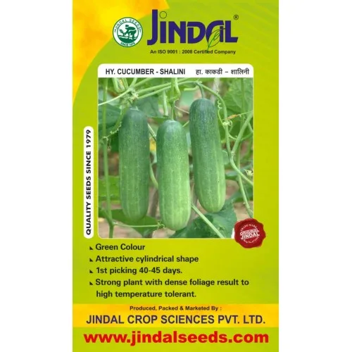 Jindal Shalini cucumber hybrid seeds pack