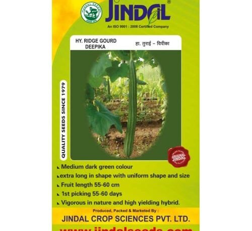 Jindal Deepika ridge gourd hybrid seeds pack