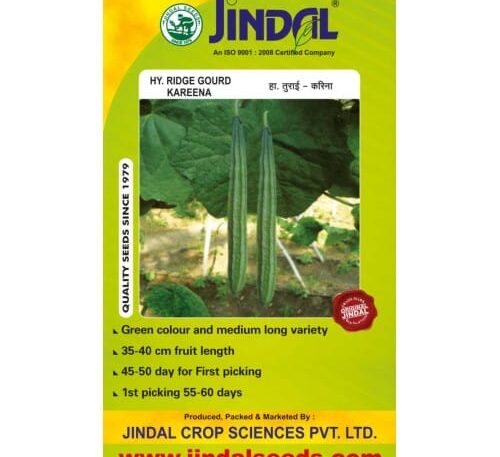 Jindal Karina ridge gourd hybrid seeds pack