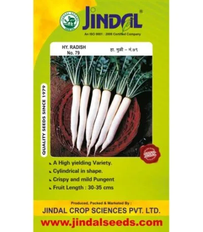 Radish moolee seeds for farming and gardening