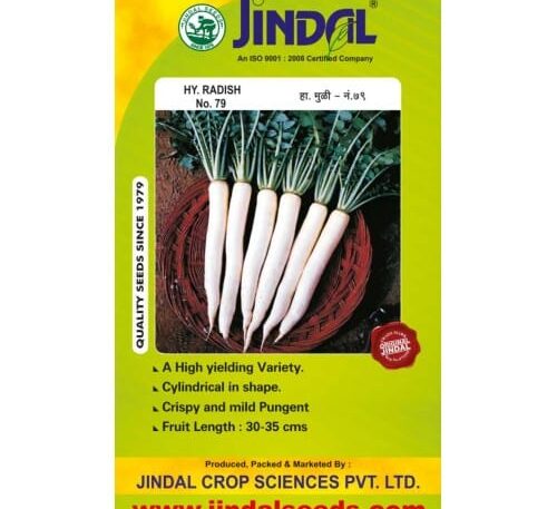 Radish moolee seeds for farming and gardening
