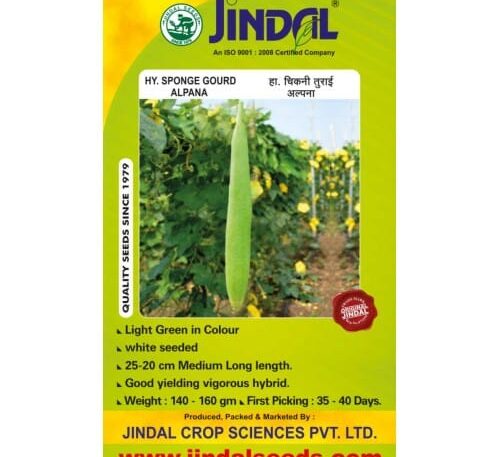 Jindal Alpana sponge gourd hybrid seeds pack