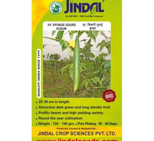 Jindal Kussum sponge gourd hybrid seeds pack