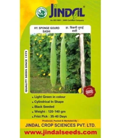 Jindal Sashi sponge gourd hybrid seeds pack