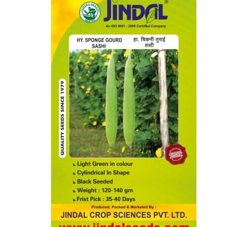 Jindal Sashi sponge gourd hybrid seeds pack