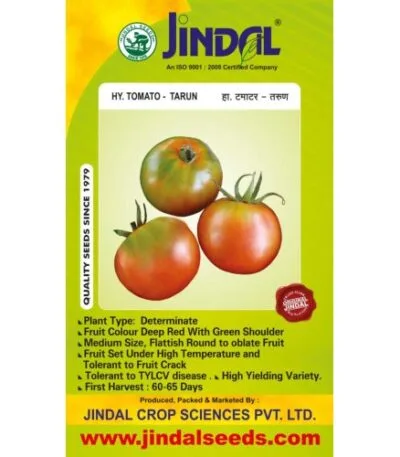 Jindal Tarun tomato hybrid seeds.