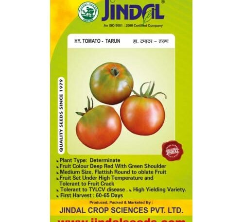 Jindal Tarun tomato hybrid seeds.