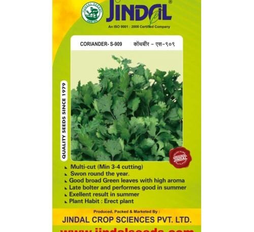 Jindal S-909 coriander hybrid seeds pack