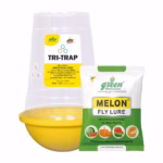TRI TRAP Fruit Fly Trap with Melon Fly pheromone Lure for (Bactrocera Cucurbitae) Pack of 10– Easy & Economic | GREEN REVOLUTION (PT103)