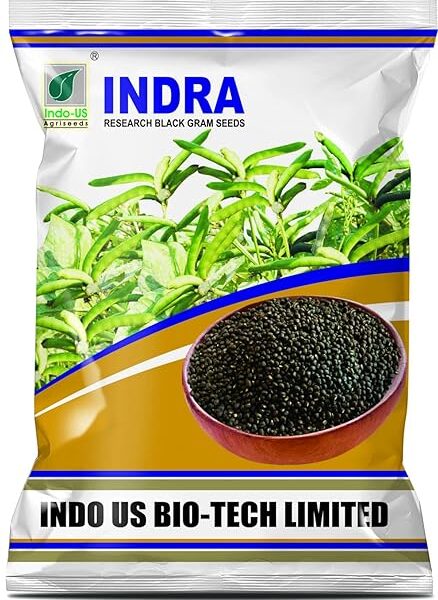 Indo US Indra Black Gram Seeds