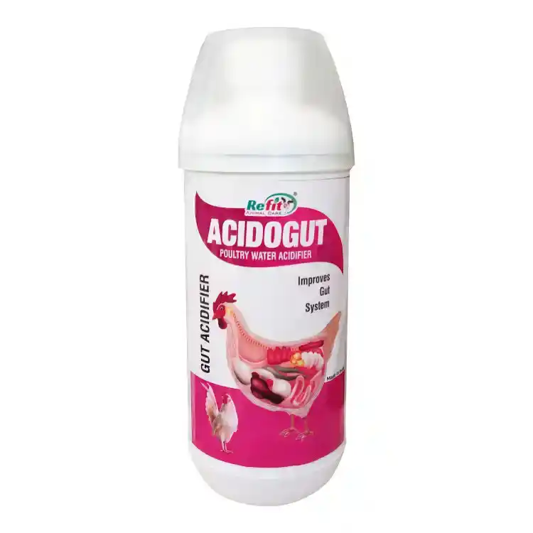 Acidogut Poultry Water Acidifier