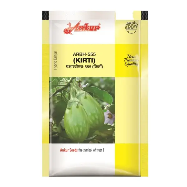 Ankur Hybrid Brinjal Kirti ARBH-555 Seeds – High Yield, Glossy Purple Fruits | Premium 10g Brinjal Hybrid Seeds (Copy)