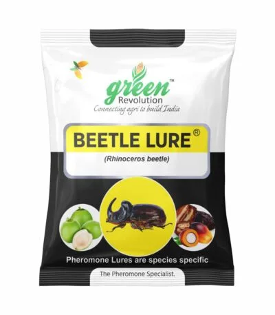 Beetle lure for coconut and oil palm pest control