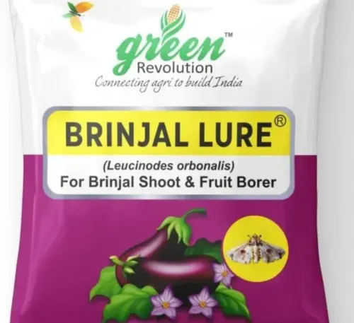 Brinjal lure for BSFB pest control