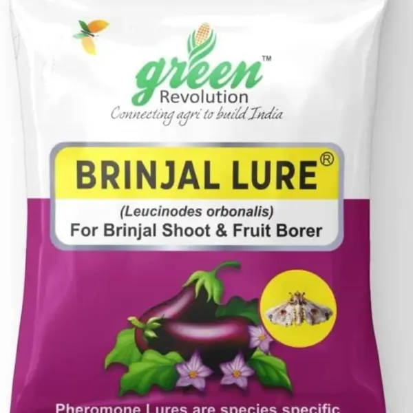Brinjal Lure for BSFB Control – PL204 | Green Revolution