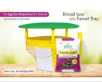 Brinjal Lure for BSFB Control – PL204 | Green Revolution - Image 3