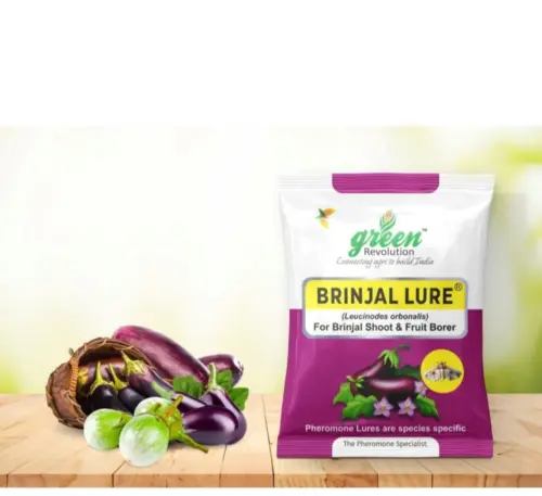 Brinjal lure for BSFB pest control