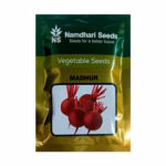 Beetroot Madhur (OP) Seeds | Namdhari Seeds - High Yield, Dark Red, Globe-Shaped Roots