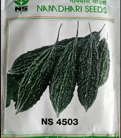 Namdhari NS 4503 F1 bitter gourd hybrid seeds
