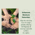 National Cow Dung Manure Fertilizer 5Kg | 100% Organic Manure for Plants & Home Gardening | Natural Soil Enricher - Image 7