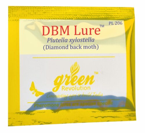 DBM lure for cabbage pest control