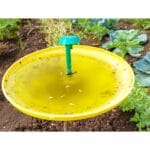 D B M Lure for Cabbage Pest Control – PL206 | Green Revolution - Image 2