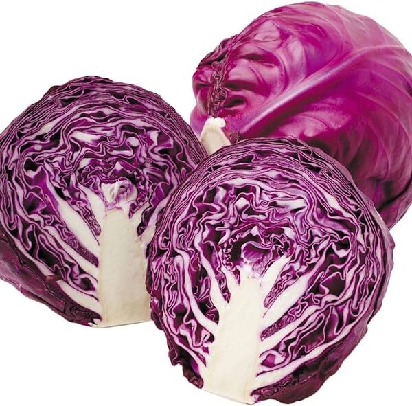 DAS agro seeds ( Red cabbage F1 hybrid ) 60 Seeds
