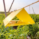DELTA TRAP & Sticky Liner (PT101 / PT113) – Insect Monitoring Trap | GREEN REVOLUTION - Image 4