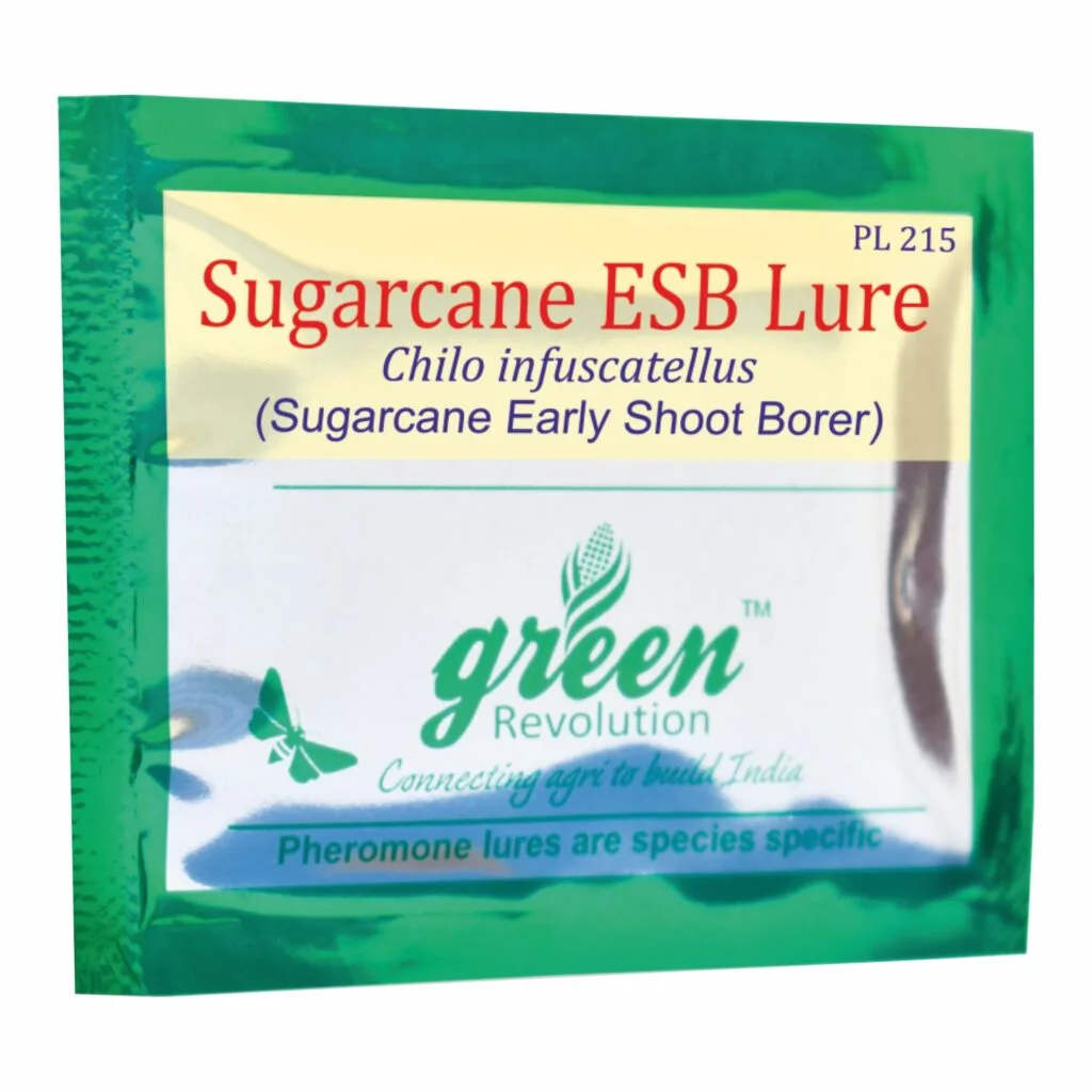 ESB lure for sugarcane pest control